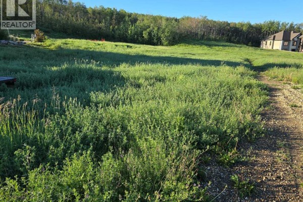 10312 86 Street, Peace River, AB T8S0A2 Photo 4
