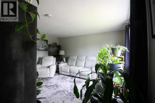 10314 100 Street, High Level, AB, photo 2