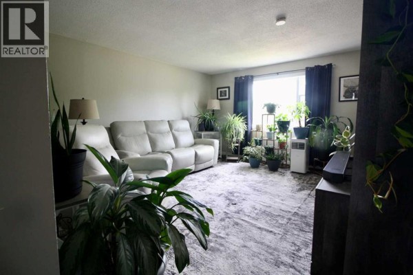 10314 100 Street, High Level, AB, photo 3