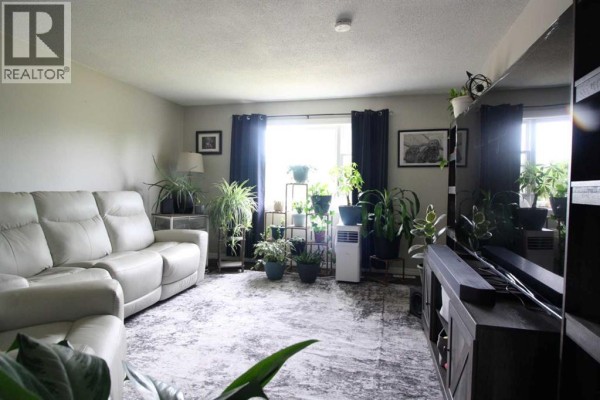 4pc Bathroom - 10314 100 Street, High Level, AB T0H1Z0 Photo 4