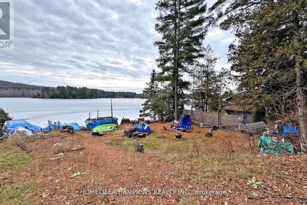 1038 Pike Lane, Dysart Et Al, ON K0M1S0 Photo 5
