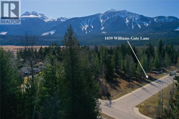 1039 Williams Gate Lane, Revelstoke, BC V0E2S1 Photo 4