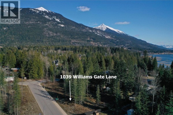 1039 Williams Gate Lane, Revelstoke, BC V0E2S1 Photo 5