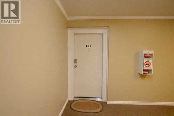 Laundry room - 103a, 4520 51 Street, Vermilion, AB T9X0A2 Photo 5
