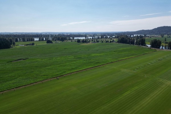 103ac Hyde Buker Road, Mission, BC V0M1H0 Photo 5