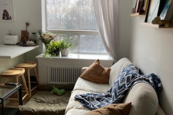 Living area with sofa, dog bed, and window overlooking trees. - 104 - 204 Kingston Road, Toronto