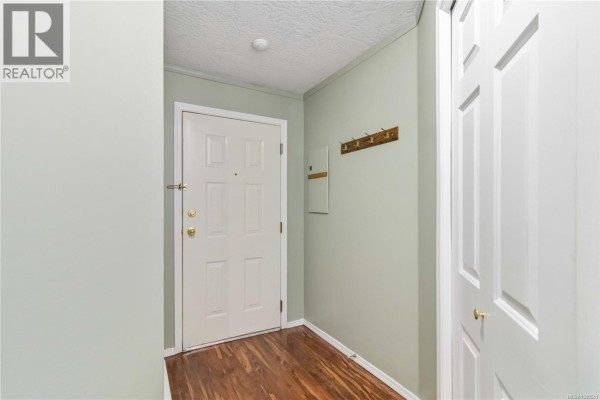 Kitchen - 104 3263 Alder St, Victoria, BC V8X1P3 Photo 5