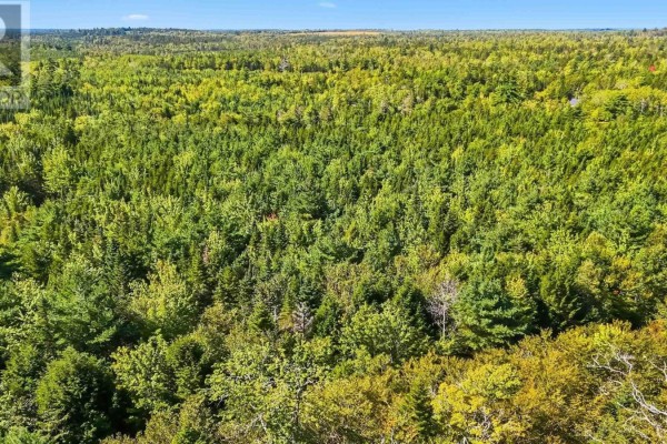 104 Arenburg Road, Buckfield, NS B4V8X9 Photo 5