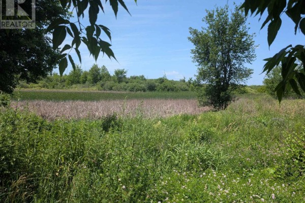 104 Casey Creek Lane, Ottawa, ON K0A1T0 Photo 2