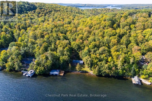 1040 Echo Bay Road, Lake Of Bays, ON P0B1A0 Photo 3