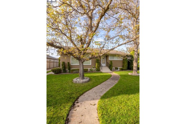 Front yard with a winding concrete path through a green lawn and two large trees. - 1040 Laurier Avenue, Kelowna