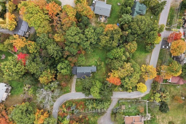 Aerial view of a residential area with houses and trees displaying autumn foliage. - 1040 River Street, Muskoka Lakes