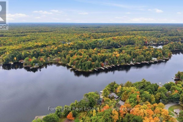 Aerial view of a lakefront with houses nestled among colorful trees and docks. - 1040 River Street, Muskoka Lakes