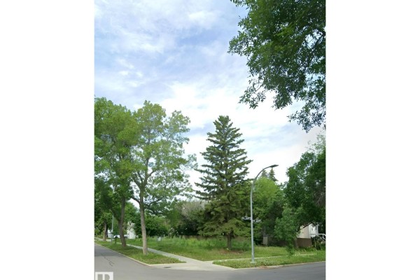 10404 113 Av Nw, Edmonton, AB T5G0H9 Photo 3