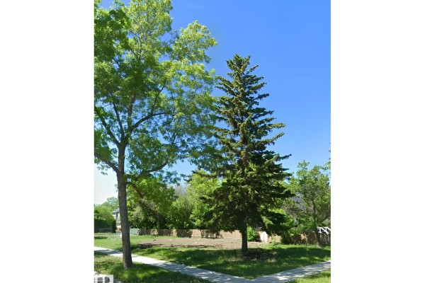 10404 113 Av Nw, Edmonton, AB T5G0H9 Photo 4