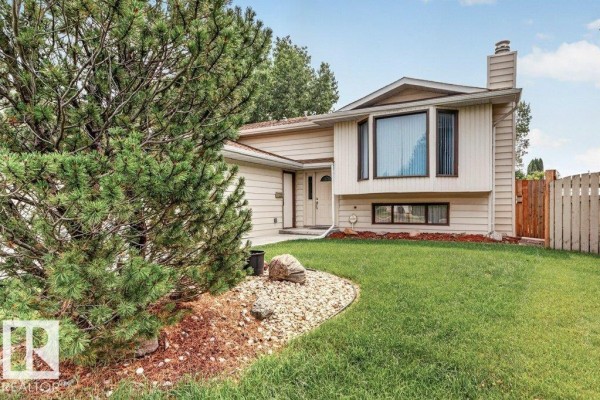 Kitchen - 10423 33 Av Nw, Edmonton, AB T6J4B3 Photo 3