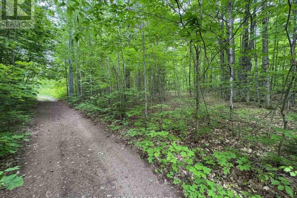1043 Lawrence Pit Road, Muskoka Lakes, ON P0B1M0 Photo 5