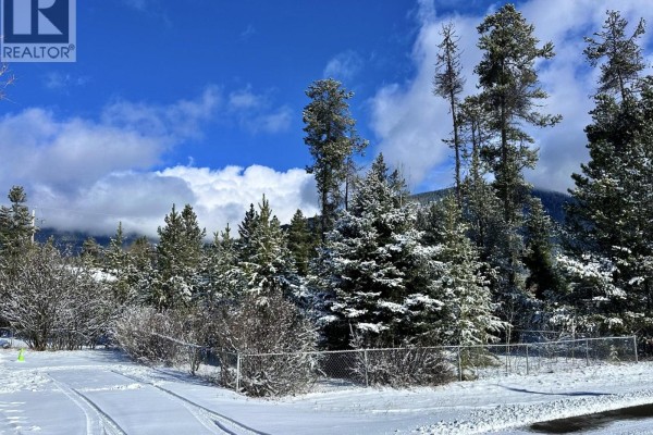 1044 9th Avenue, Valemount, BC, photo 2