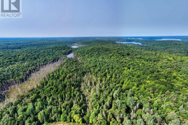 1045 B Browns Brae Road, Lake Of Bays, ON P0B1A0 Photo 3