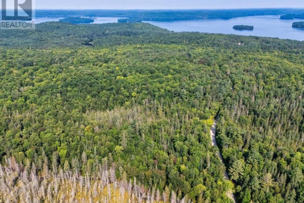1045 B Browns Brae Road, Lake Of Bays, ON P0B1A0 Photo 4