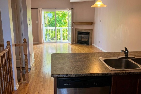 Kitchen - 1046 Redtail Private, Ottawa, ON K1J0A9 Photo 3