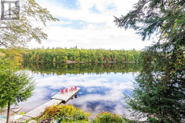 Living room - 1047 Hallett Road S, Muskoka Lakes, ON P0B1J0 Photo 3