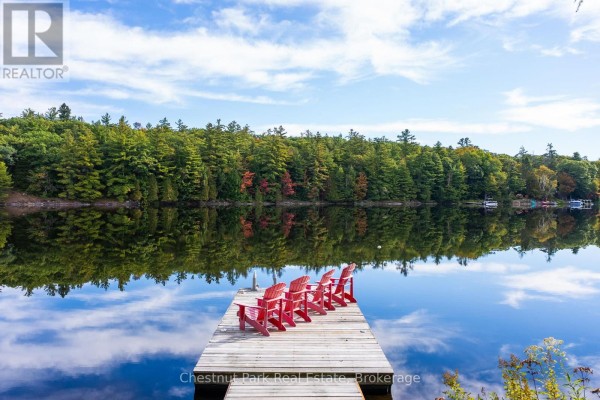 Bedroom - 1047 Hallett Road S, Muskoka Lakes, ON P0B1J0 Photo 4