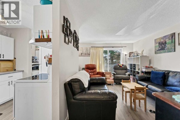105 Broadway Avenue E, Redcliff, AB T0J2P0 Photo 5