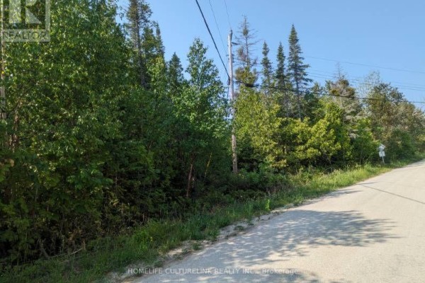 105 Corey Crescent, Northern Bruce Peninsula, ON N0H2R0 Photo 4