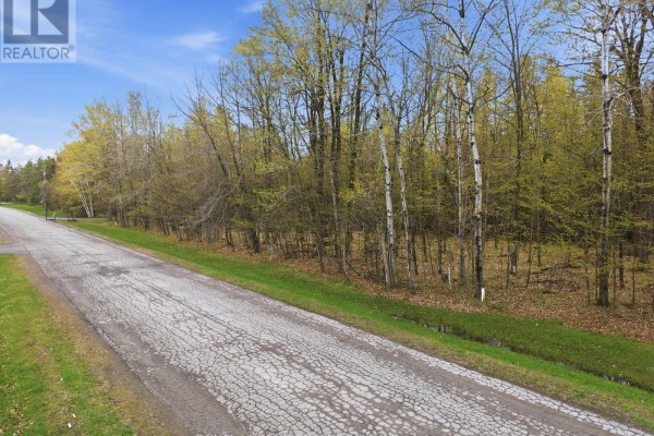 105 Pleasant Creek Drive, Ottawa, ON K0A1L0 Photo 5