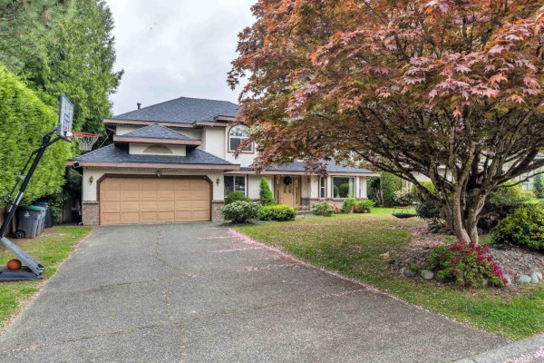 10528 168a Street, Surrey, BC V4N3H6 Photo 3