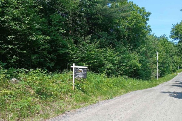 1055 Porkys Road, Minden Hills, ON, photo 3