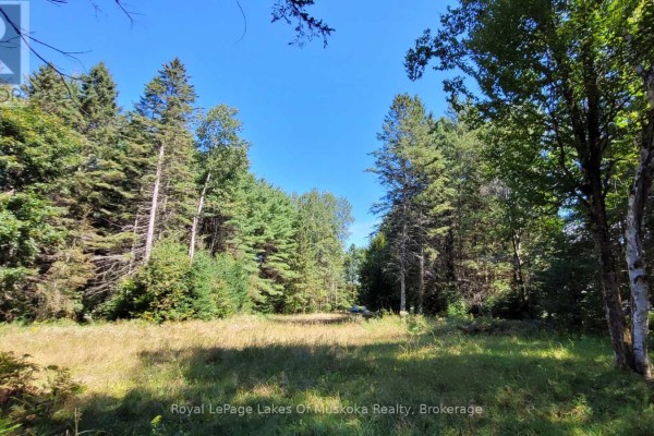 1059 Ablett Court, Algonquin Highlands, ON, photo 2