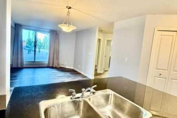 106, 5 Saddlestone Way Ne, Calgary, AB T3J0S2 Photo 5