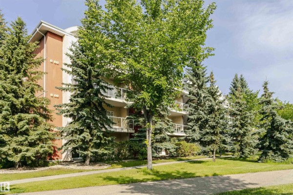 Apartment building with balconies visible through mature evergreen trees and green lawn. - #106 12110 106 Av Nw, Edmonton