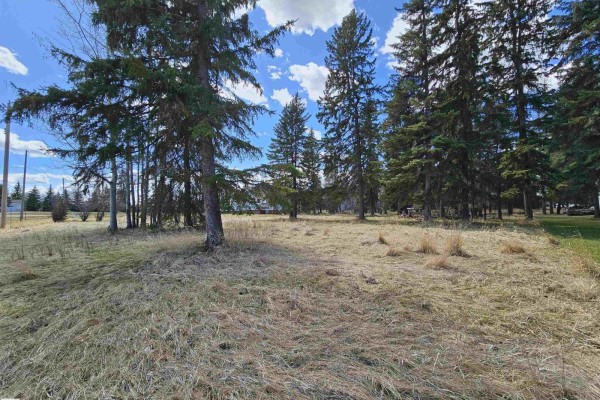 Open land with tall trees and sparse grass - 106 2 St, Rural Wetaskiwin County