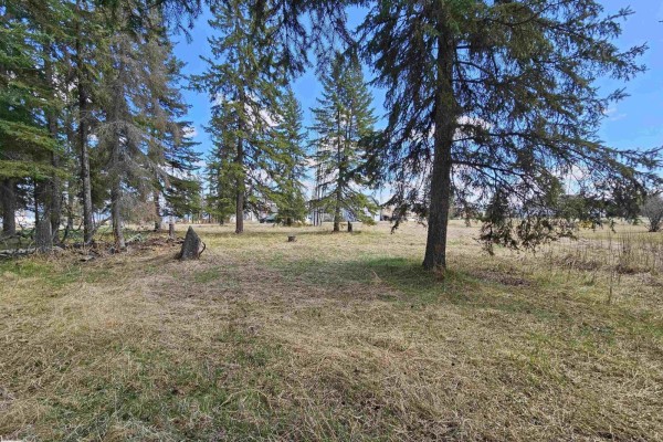 Spacious area with mixed trees and open grassland - 106 2 St, Rural Wetaskiwin County