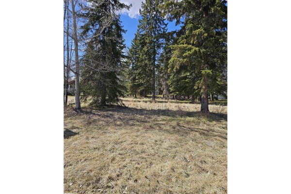 Vacant lot with grass and trees, sunny day - 106 2 St, Rural Wetaskiwin County