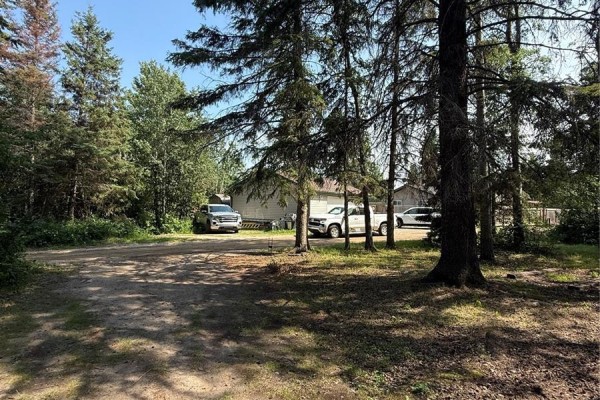 Gravel driveway with several parked vehicles including trucks, set amongst tall pine trees. - 106 Agnes Street, Emma Lake