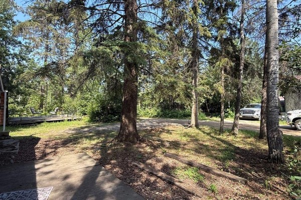 View from the patio looking towards the cottage and surrounding wooded area with parked vehicles. - 106 Agnes Street, Emma Lake