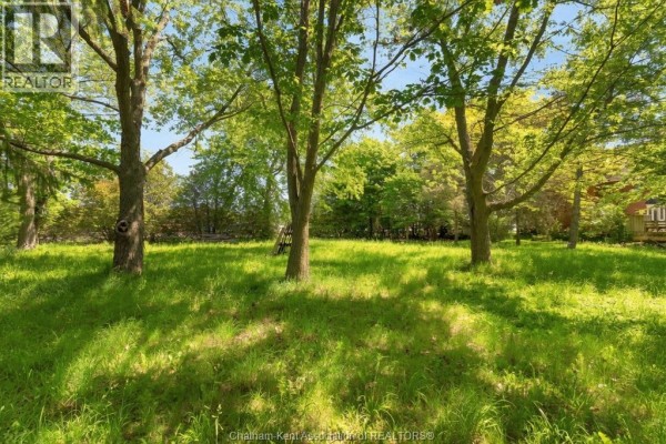 106 Erie Street North, Ridgetown, ON N0P2C0 Photo 4