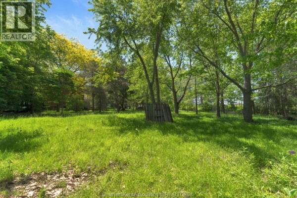 106 Erie Street North, Ridgetown, ON N0P2C0 Photo 5