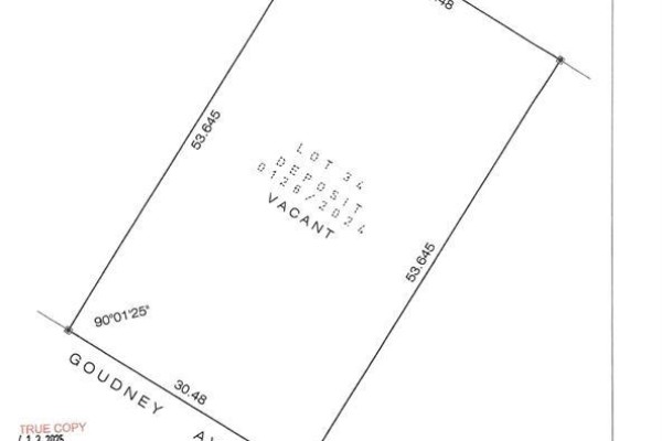 106 Goudney Avenue, Pilot Mound, MB R0G1P0 Photo 4