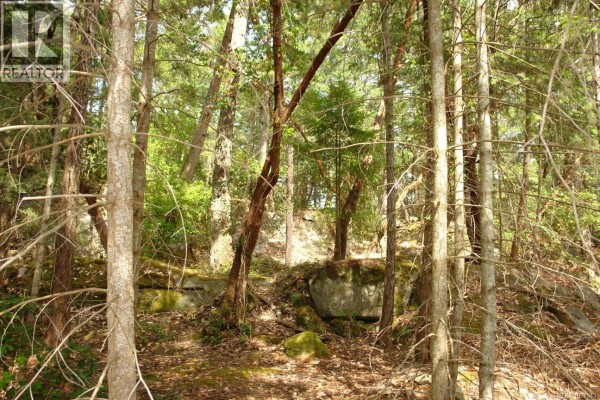 106 Halibut Hill Rd, Mudge Island, BC V0R1X6 Photo 4