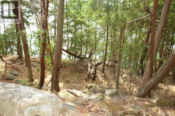 106 Halibut Hill Rd, Mudge Island, BC V0R1X6 Photo 5