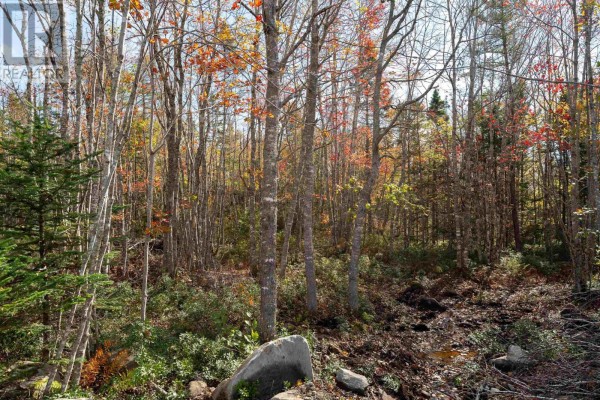 106 Morton Drive, Liverpool, NS, photo 3