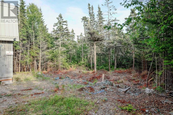 1060 Stoney Island Road, Clam Point, NS B0W1N0 Photo 3