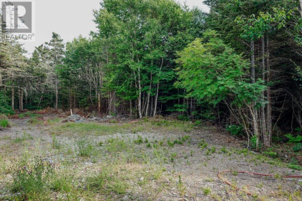1060 Stoney Island Road, Clam Point, NS B0W1N0 Photo 4