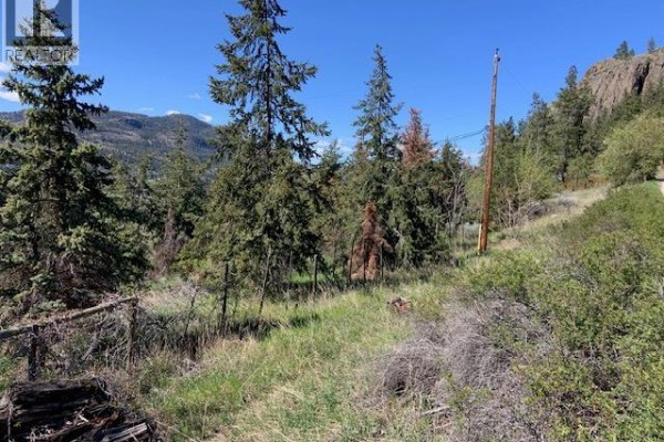 10608 Cedar Avenue, Summerland, BC V0H1Z2 Photo 2