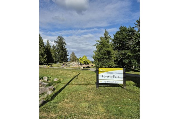 10617 138a Street, Surrey, BC V3T4L2 Photo 2